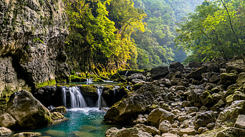 Beautiful Scenery Waterfalls Stream Algae Covered Stones Rocks River Trees Forest Background Nature HD wallpaper