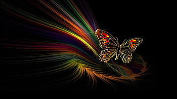 Animated Butterflies 0 HTML code. Butterfly Animated fond ecran HD wallpaper