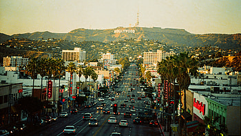 Hollywood Sunset —, Los Angeles, Palm Tree HD wallpaper