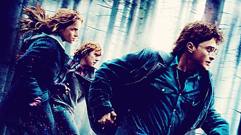 Daniel Radcliffe, Emma Watson, Harry Potter, Ron Weasley HD wallpaper