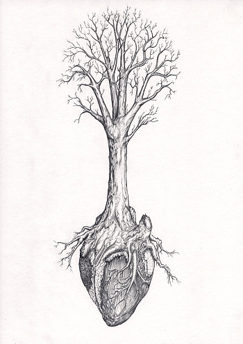 Life Tree, art, painting, drawing HD phone wallpaper