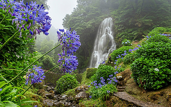 Parque Natural da Ribeira dos Caldeiroes, waterfall, Mirador de Ribeira dos Caldeiroes, blue flowers, jungle, beautiful waterfall, fog, Achada, Portugal HD wallpaper