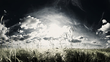 After the Storm, sunbeam, field, clouds, sky, storm, dark, after HD wallpaper