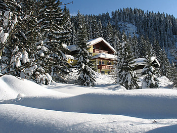 Nature, Trees, Snow, Conifers, Coniferous, House, Drifts, Ate, Hotel HD wallpaper