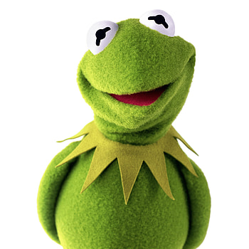 Kermit the Frog , Muppet show charm, Adorable amphibian, Beloved character HD phone wallpaper