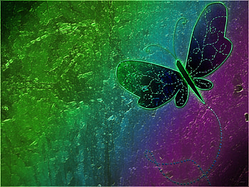 For a friend... Larisa!, colors, dragonfly, abstract, butterfly HD wallpaper