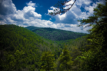 Nature, Trees, Sky, Mountains, View From Above, Linville Falls, North Carolina HD wallpaper