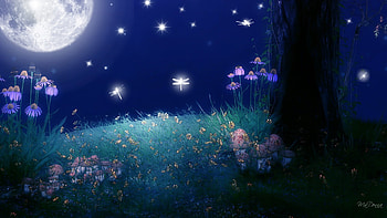 full moon stars HD wallpaper