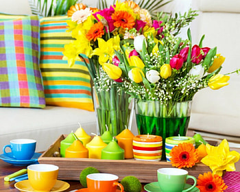Colorful living, tulip, flowers, pillow, cup HD wallpaper