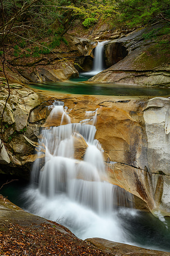 Nature, Trees, Rocks, Waterfall, Spray, Flow, Stream HD phone wallpaper