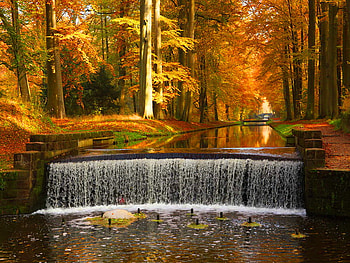 Autumn cascades, leaves, fall, colors, cascades, autumn, nature, water HD wallpaper