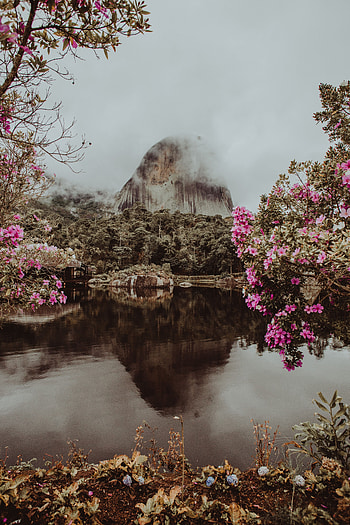 Nature, Flowers, Water, Clouds, Mountain, Park, Fog, Branches, Brazil, Pedra Azul HD phone wallpaper