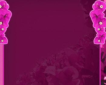 Pink flowers, pink, flowers HD wallpaper