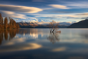 Lake, New Zealand, Mountains, Tree, Clouds HD wallpaper