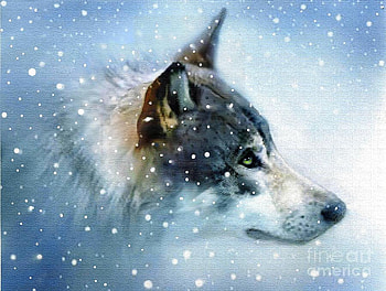 Snow eyes, animal, wolf, painting, snow HD wallpaper