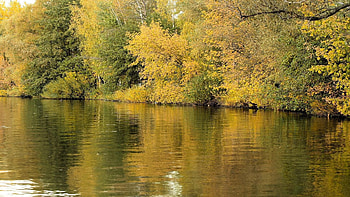 Nature, Rivers, Trees, Grass, Autumn, Reflection HD wallpaper
