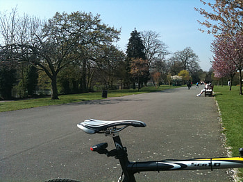 ME AND THE BIKE AT THE PARK, had a ride, now a sit down HD wallpaper