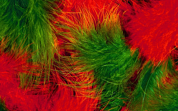 Feathers, feather, green, red, texture, fluffy HD wallpaper