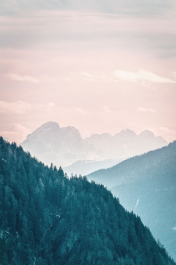 Nature, Trees, Sky, Mountains, Fog, Slope HD phone wallpaper