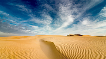 Sunny desert, Nature's radiance, Warmth of light, Crisp air HD wallpaper