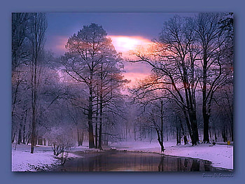 Stillness, winter, snow, trees, pink sky, forest, evening, pond HD wallpaper