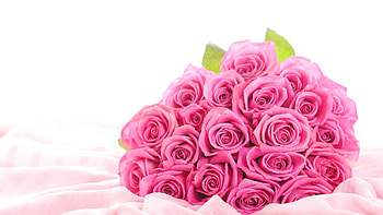 Plants, Flowers, Roses, Bouquets HD wallpaper