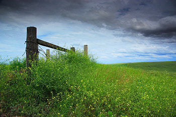 Nature, Grass, Sky, Field, Mainly Cloudy, Overcast, Fencing, Enclosure, Log HD wallpaper
