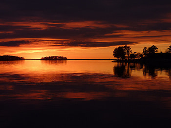 Nature, Trees, Sunset, Night, Lake HD wallpaper