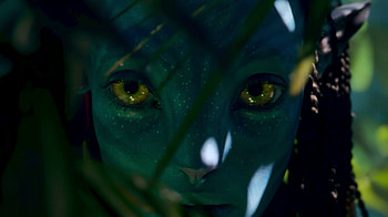 Avatar 2: The Way of Water -, Avatar: The Way of Water HD wallpaper