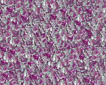 Coming up roses, pink, mass, roses, flowers, collage HD wallpaper