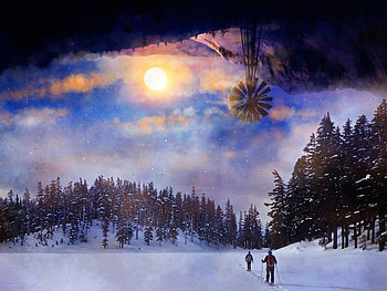 Landscape, Sun, Miscellanea, Miscellaneous, Forest, Skiing HD wallpaper