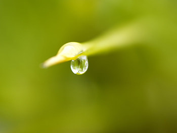 Background, Drops HD wallpaper