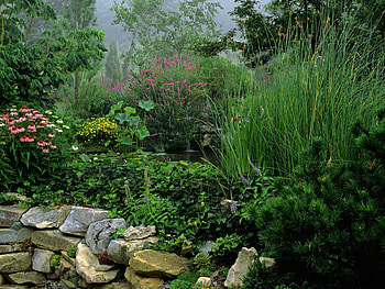 Nature, Flowers, Water, Stones, Park, Vegetation, Greens HD wallpaper