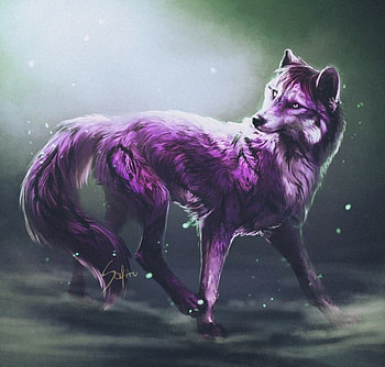 Art, purple, wolf, fantasy HD wallpaper
