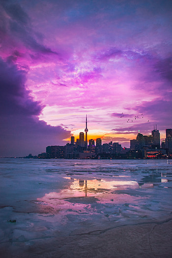 City, sunset, pink sky, buildings HD phone wallpaper