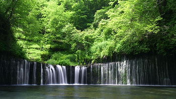 Enchanting waterfall, Forest wonders, Tranquil oasis, Nature's beauty HD wallpaper