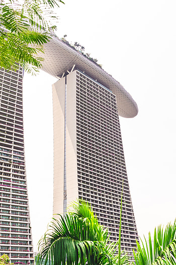 Architecture, Palms, Skyscraper, Building, Miscellanea, Miscellaneous HD phone wallpaper