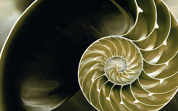 Abstract, Background, Light, Light Coloured, Plexus, Spiral HD wallpaper