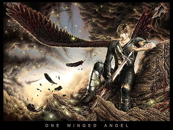After the bettle, bettle, angel, wounded HD wallpaper