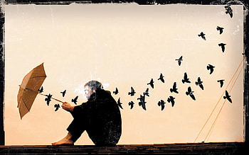 Birds, Art, Human, Person, Loneliness, Umbrella, Mood HD wallpaper