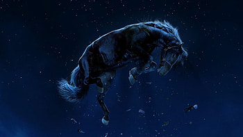 Movie 2022, Jordan Peele's Nope, Appropriately confusing, IGN HD wallpaper