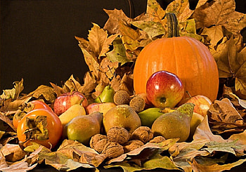 Fall Harvest, still life, abstract, graphy, harvest, fall leaves HD wallpaper