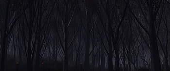 Preview forest, trees, background, dark HD wallpaper