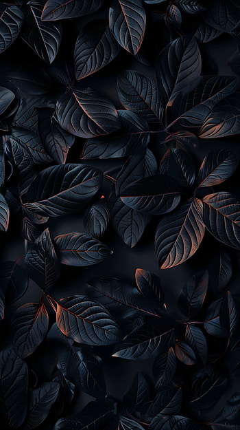 Dark Leaf Aesthetic , dark, leaf, foliage, nature, dark nature HD phone wallpaper