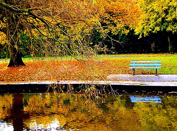 Autumn, bench, reflection, water HD wallpaper