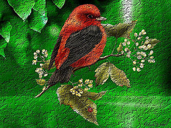 LITTLE RED BIRD, LITTLE, RED, ABSTRACT, BIRD HD wallpaper