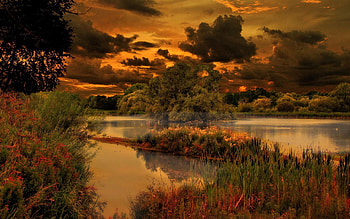 Nature, Trees, Sky, Clouds, Lake, Vegetation, Color, Colors, Shrubs, Creepy, Reeds, Blackness HD wallpaper