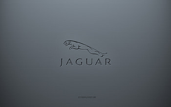 Jaguar logo, gray creative background, Jaguar emblem, gray paper texture, Jaguar, gray background, Jaguar 3d logo HD wallpaper
