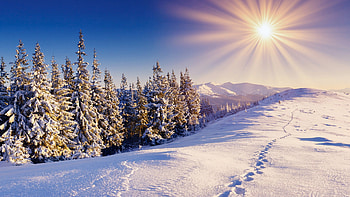 Winter sun, Sun HD wallpaper