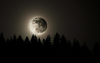 Full moon, night, sky, moon, shine HD wallpaper